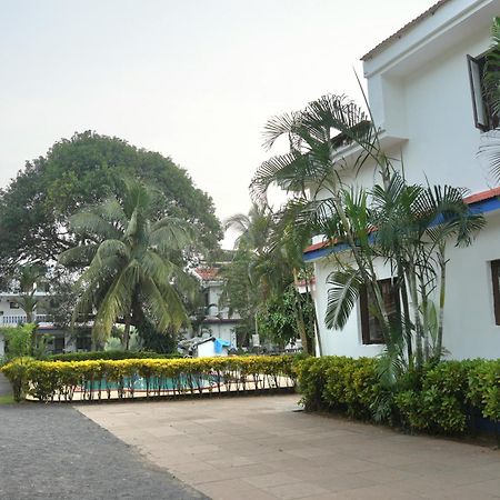 Gr Stays - Duplex 3Bhk Villa With Pool Arpora I Baga Beach 5 Mins Exteriör bild