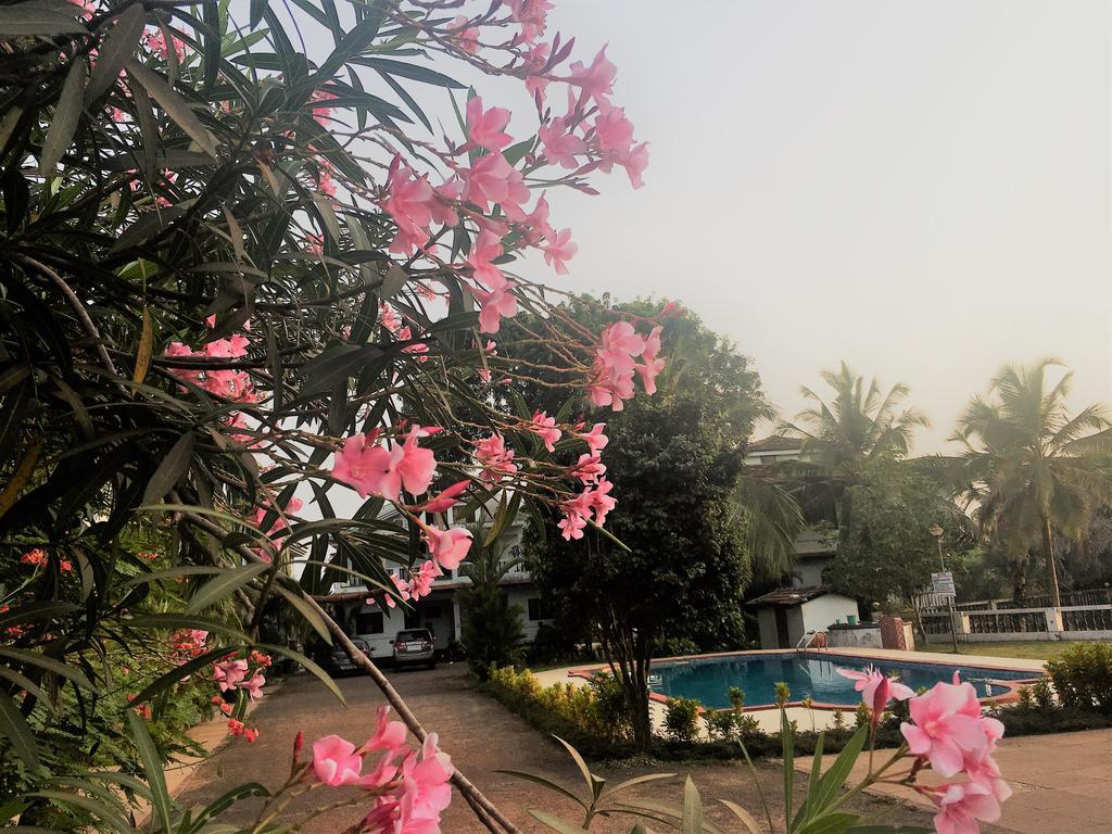 Gr Stays - Duplex 3Bhk Villa With Pool Arpora I Baga Beach 5 Mins Exteriör bild